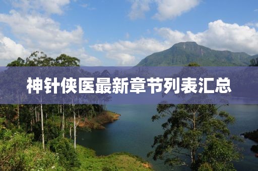 神針俠醫(yī)最新章節(jié)列表匯總