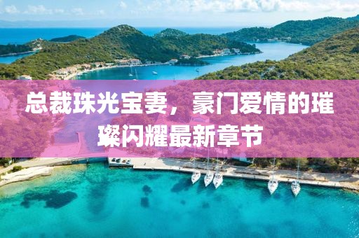 總裁珠光寶妻，豪門愛情的璀璨閃耀最新章節(jié)