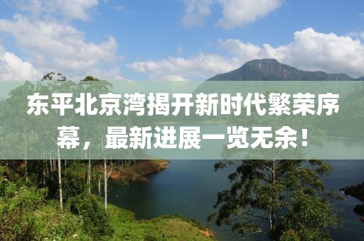 東平北京灣揭開新時代繁榮序幕，最新進展一覽無余！