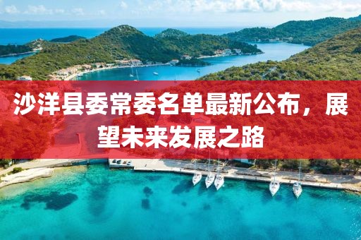 沙洋縣委常委名單最新公布，展望未來發(fā)展之路