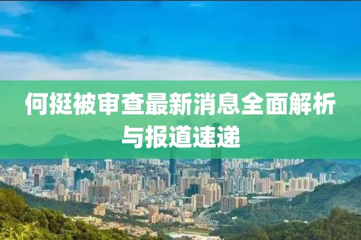 何挺被審查最新消息全面解析與報道速遞