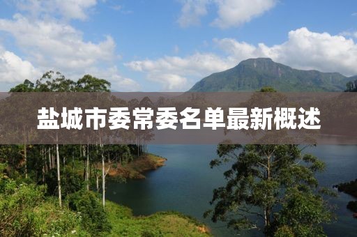 鹽城市委常委名單最新概述
