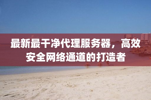 最新最干凈代理服務(wù)器，高效安全網(wǎng)絡(luò)通道的打造者