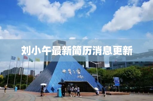 劉小午最新簡(jiǎn)歷消息更新