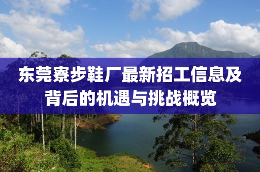 東莞寮步鞋廠最新招工信息及背后的機(jī)遇與挑戰(zhàn)概覽