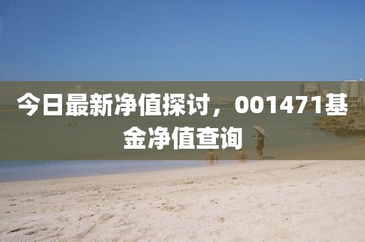 今日最新凈值探討，001471基金凈值查詢