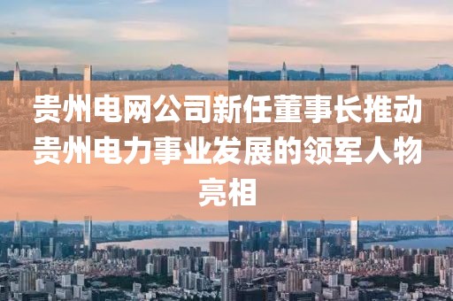 貴州電網(wǎng)公司新任董事長推動貴州電力事業(yè)發(fā)展的領(lǐng)軍人物亮相