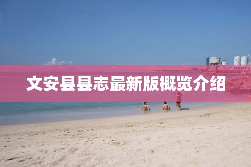 文安縣縣志最新版概覽介紹