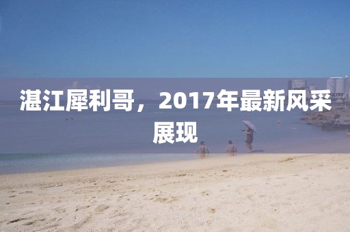 湛江犀利哥，2017年最新風(fēng)采展現(xiàn)
