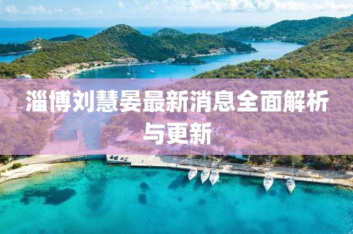 淄博劉慧晏最新消息全面解析與更新
