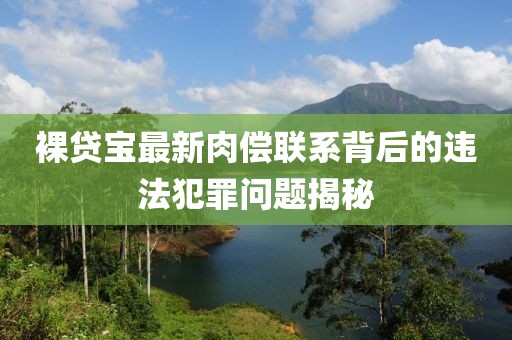 裸貸寶最新肉償聯(lián)系背后的違法犯罪問(wèn)題揭秘
