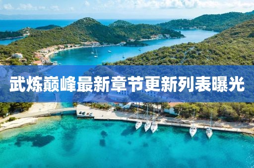 武煉巔峰最新章節(jié)更新列表曝光
