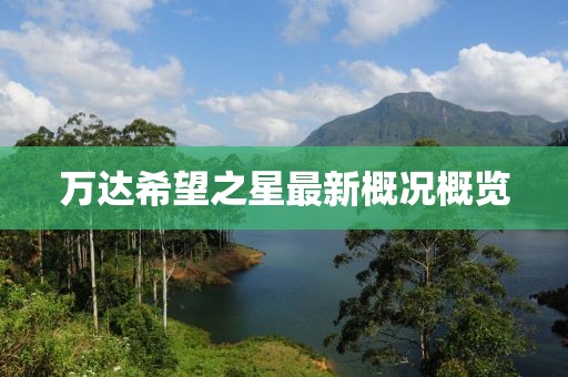 萬達(dá)希望之星最新概況概覽