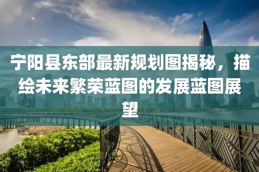 寧陽縣東部最新規(guī)劃圖揭秘，描繪未來繁榮藍(lán)圖的發(fā)展藍(lán)圖展望
