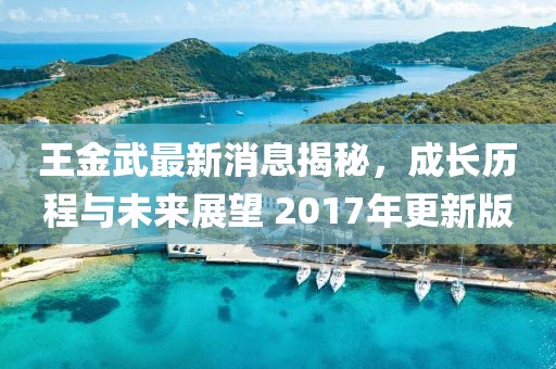 王金武最新消息揭秘，成長歷程與未來展望 2017年更新版
