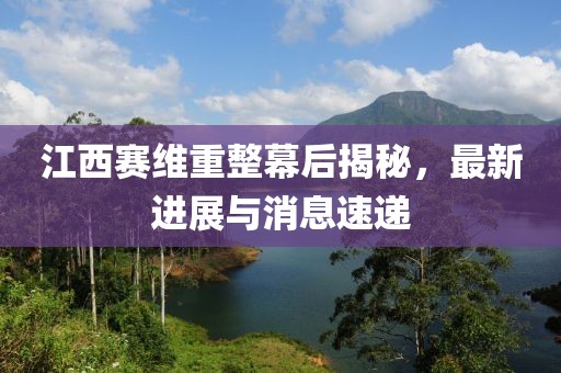 江西賽維重整幕后揭秘，最新進(jìn)展與消息速遞