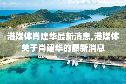 港媒體肖建華最新消息,港媒體關(guān)于肖建華的最新消息