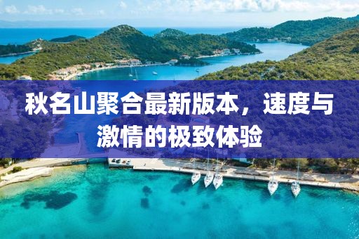 秋名山聚合最新版本，速度與激情的極致體驗