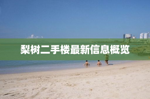 梨樹(shù)二手樓最新信息概覽