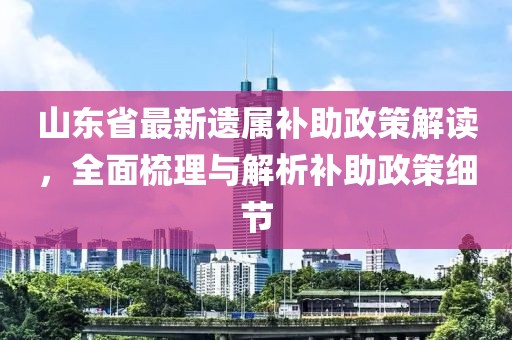 山東省最新遺屬補(bǔ)助政策解讀，全面梳理與解析補(bǔ)助政策細(xì)節(jié)