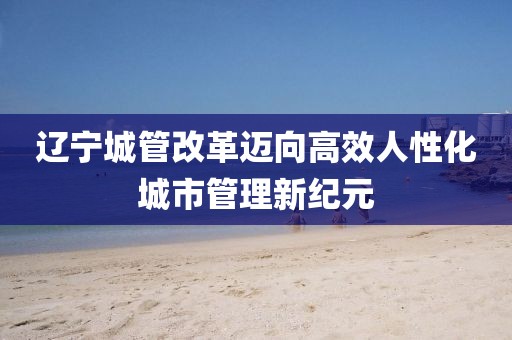 遼寧城管改革邁向高效人性化城市管理新紀(jì)元