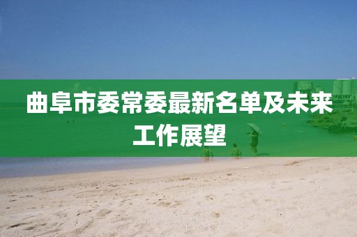 曲阜市委常委最新名單及未來工作展望
