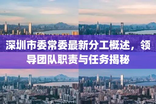 深圳市委常委最新分工概述，領(lǐng)導(dǎo)團(tuán)隊(duì)職責(zé)與任務(wù)揭秘