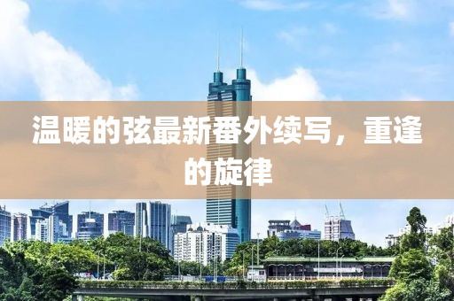 溫暖的弦最新番外續(xù)寫，重逢的旋律
