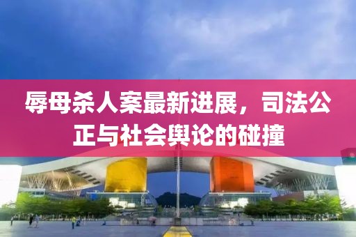 辱母殺人案最新進(jìn)展，司法公正與社會輿論的碰撞