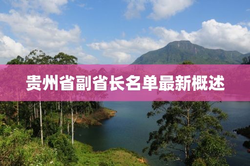 貴州省副省長(zhǎng)名單最新概述