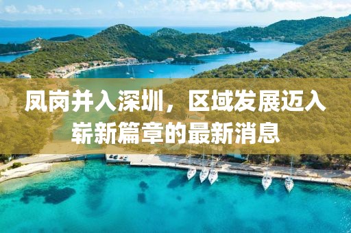 鳳崗并入深圳，區(qū)域發(fā)展邁入嶄新篇章的最新消息