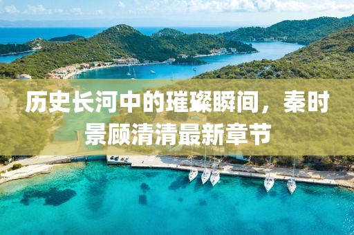歷史長河中的璀璨瞬間，秦時(shí)景顧清清最新章節(jié)