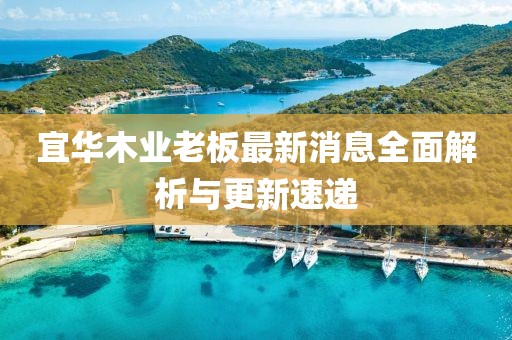 宜華木業(yè)老板最新消息全面解析與更新速遞