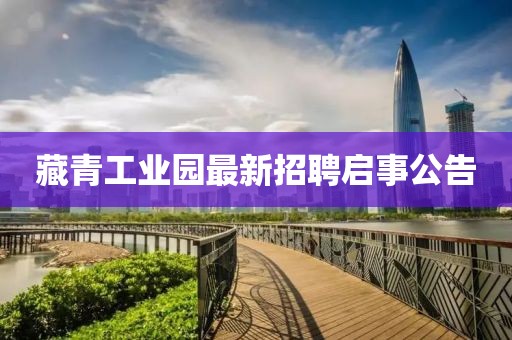 藏青工業(yè)園最新招聘啟事公告