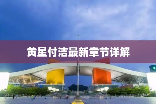 黃星付潔最新章節(jié)詳解