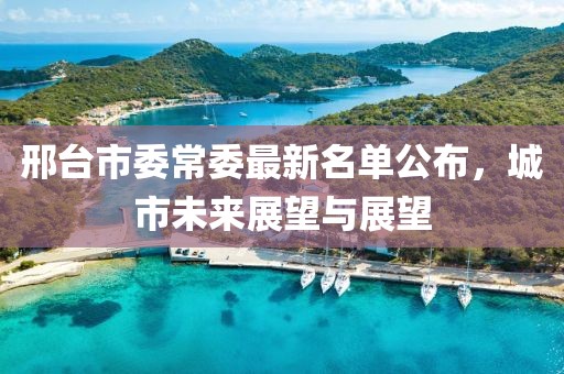 邢臺(tái)市委常委最新名單公布，城市未來(lái)展望與展望