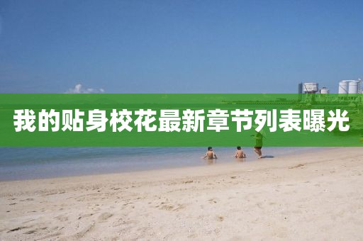 我的貼身?；ㄗ钚抡鹿?jié)列表曝光