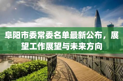 阜陽市委常委名單最新公布，展望工作展望與未來方向