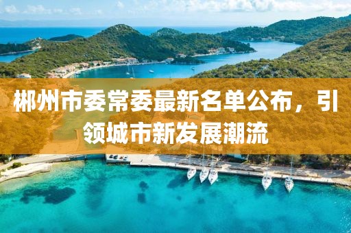 郴州市委常委最新名單公布，引領(lǐng)城市新發(fā)展潮流