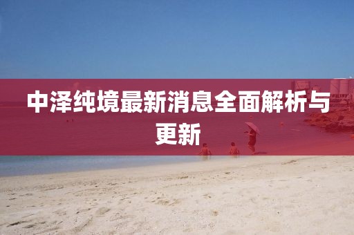 中澤純境最新消息全面解析與更新