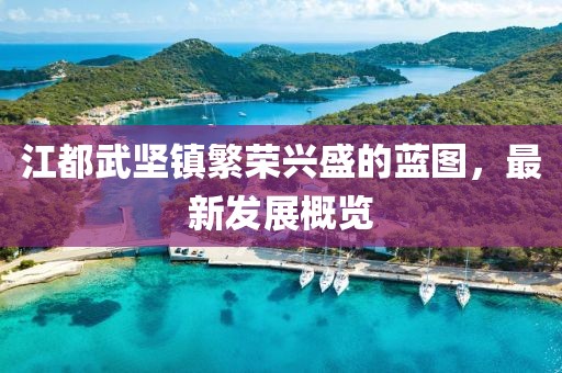 江都武堅(jiān)鎮(zhèn)繁榮興盛的藍(lán)圖，最新發(fā)展概覽