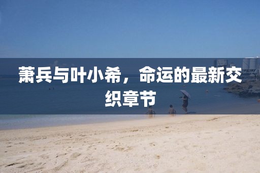 蕭兵與葉小希，命運的最新交織章節(jié)