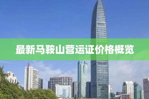 最新馬鞍山營運(yùn)證價格概覽