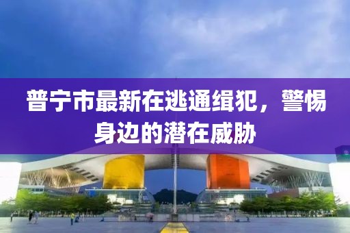 普寧市最新在逃通緝犯，警惕身邊的潛在威脅
