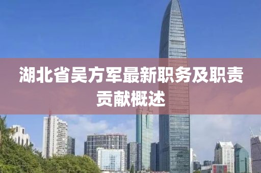 湖北省吳方軍最新職務(wù)及職責(zé)貢獻(xiàn)概述