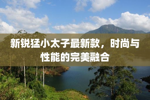 新銳猛小太子最新款，時(shí)尚與性能的完美融合