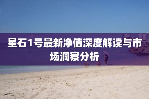 星石1號最新凈值深度解讀與市場洞察分析