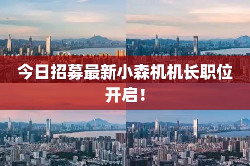 今日招募最新小森機(jī)機(jī)長(zhǎng)職位開啟！