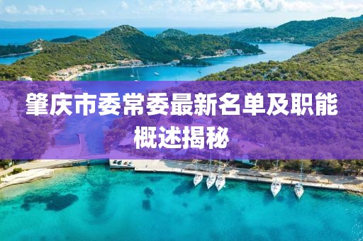 肇慶市委常委最新名單及職能概述揭秘