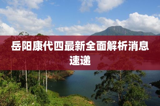 岳陽康代四最新全面解析消息速遞